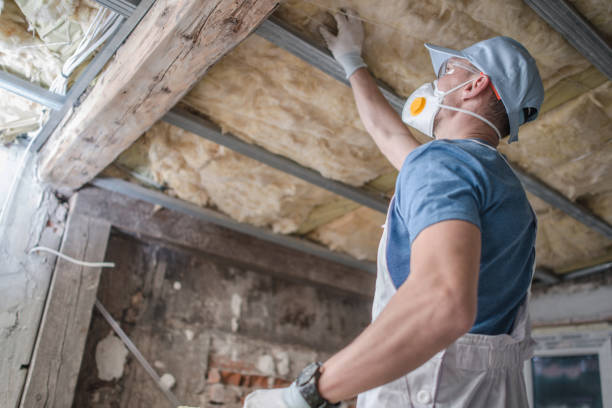 Best Soundproof Insulation Installation  in West Homestead, PA