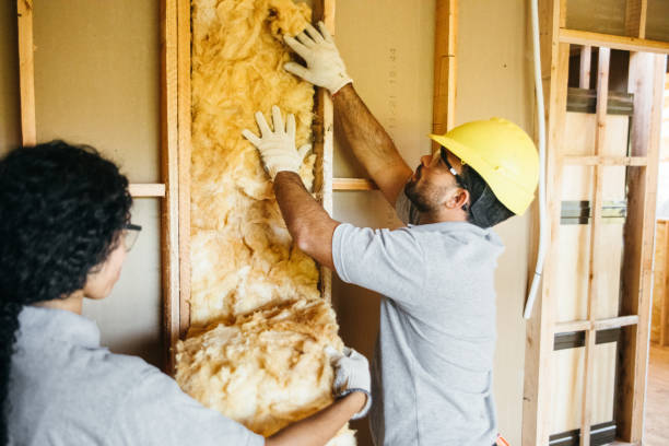 Best Professional Insulation Contractor  in West Homestead, PA