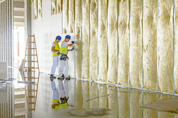 Best Blown-in Insulation  in West Homestead, PA